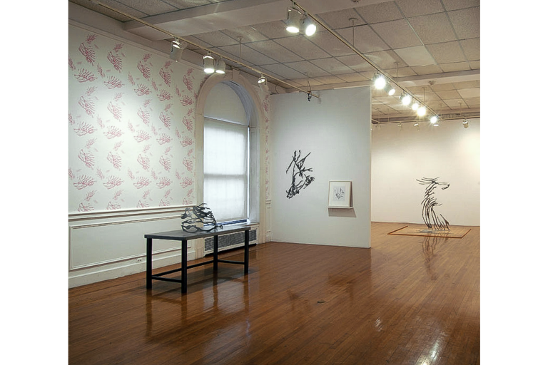 Installation Borowsky Gallery with Linda Nochlin wallpaper, 2007